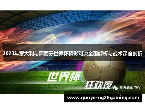 2023年意大利与葡萄牙世界杯精彩对决全面解析与战术深度剖析