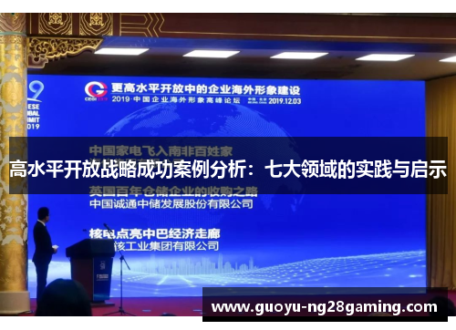 高水平开放战略成功案例分析：七大领域的实践与启示
