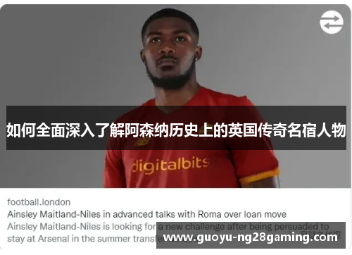 如何全面深入了解阿森纳历史上的英国传奇名宿人物