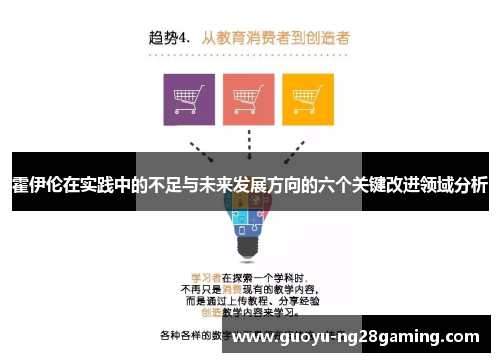 霍伊伦在实践中的不足与未来发展方向的六个关键改进领域分析