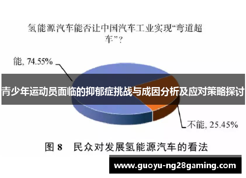 青少年运动员面临的抑郁症挑战与成因分析及应对策略探讨