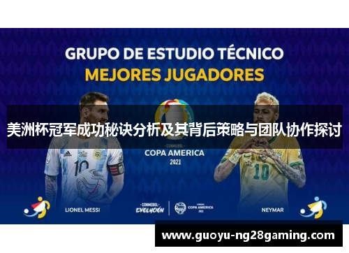 美洲杯冠军成功秘诀分析及其背后策略与团队协作探讨