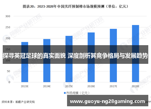 探寻英冠足球的真实面貌 深度剖析其竞争格局与发展趋势