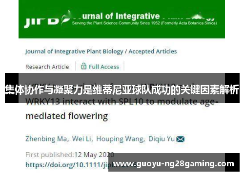集体协作与凝聚力是维蒂尼亚球队成功的关键因素解析