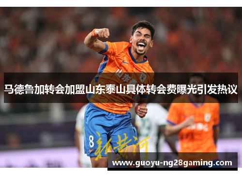马德鲁加转会加盟山东泰山具体转会费曝光引发热议