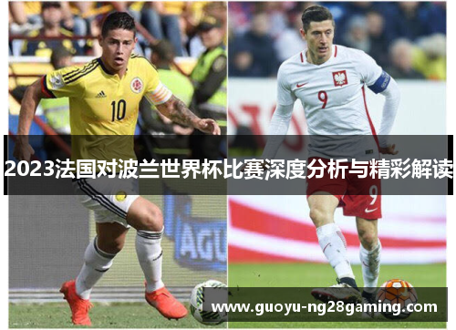 2023法国对波兰世界杯比赛深度分析与精彩解读