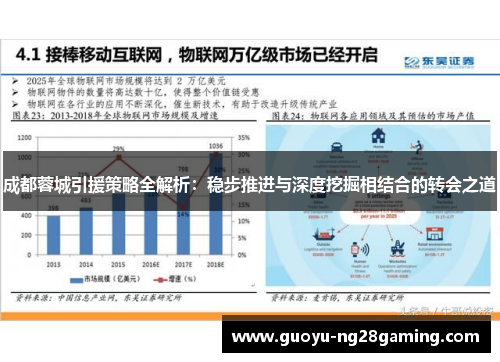 成都蓉城引援策略全解析:稳步推进与深度挖掘相结合的转会之道 成都蓉城引援策略全解析:稳步推进与深度挖掘相结合的转会之道