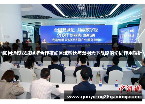 如何通过双城经济合作推动区域增长与双羽天下战略的协同作用解析