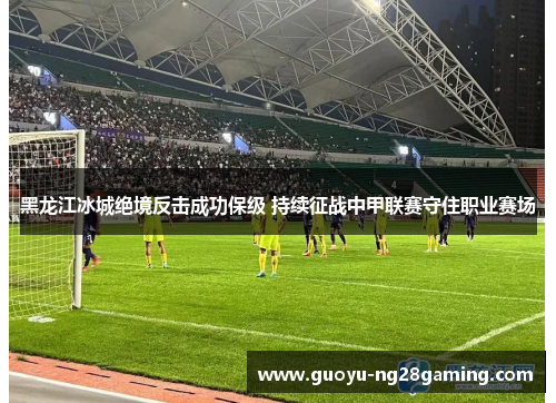 黑龙江冰城绝境反击成功保级 持续征战中甲联赛守住职业赛场 黑龙江冰城绝境反击成功保级 持续征战中甲联赛守住职业赛场